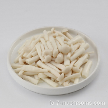 منجمد تازه خرد شده سفید Jade Mushroom-900G